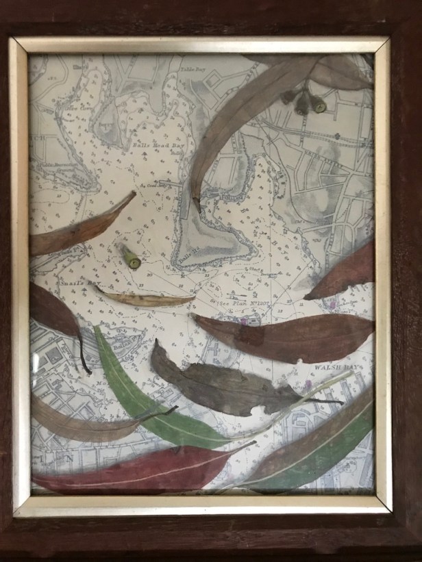 UNADJUSTEDNONRAW_thumb_a9d